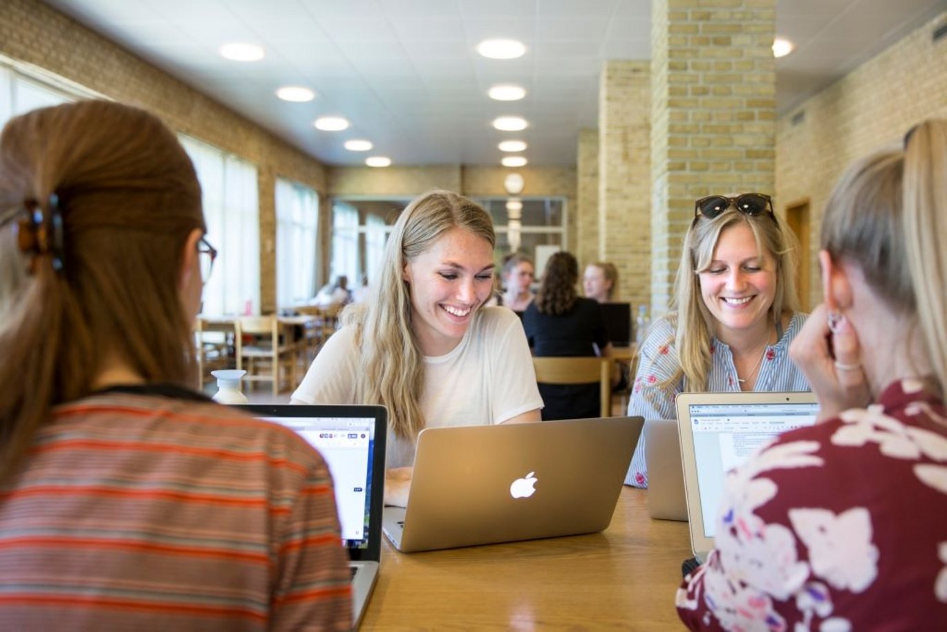 Fire studerende samarbejder om et projekt på Aarhus Universitet