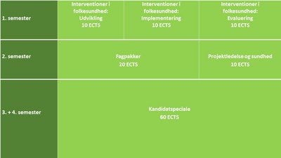 Studieprogram ved 60 ECTS speciale