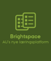 Nu er efterårets kurser åbne i Brightspace. Foto: AU