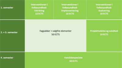 Studieprogram ved 30 ECTS speciale