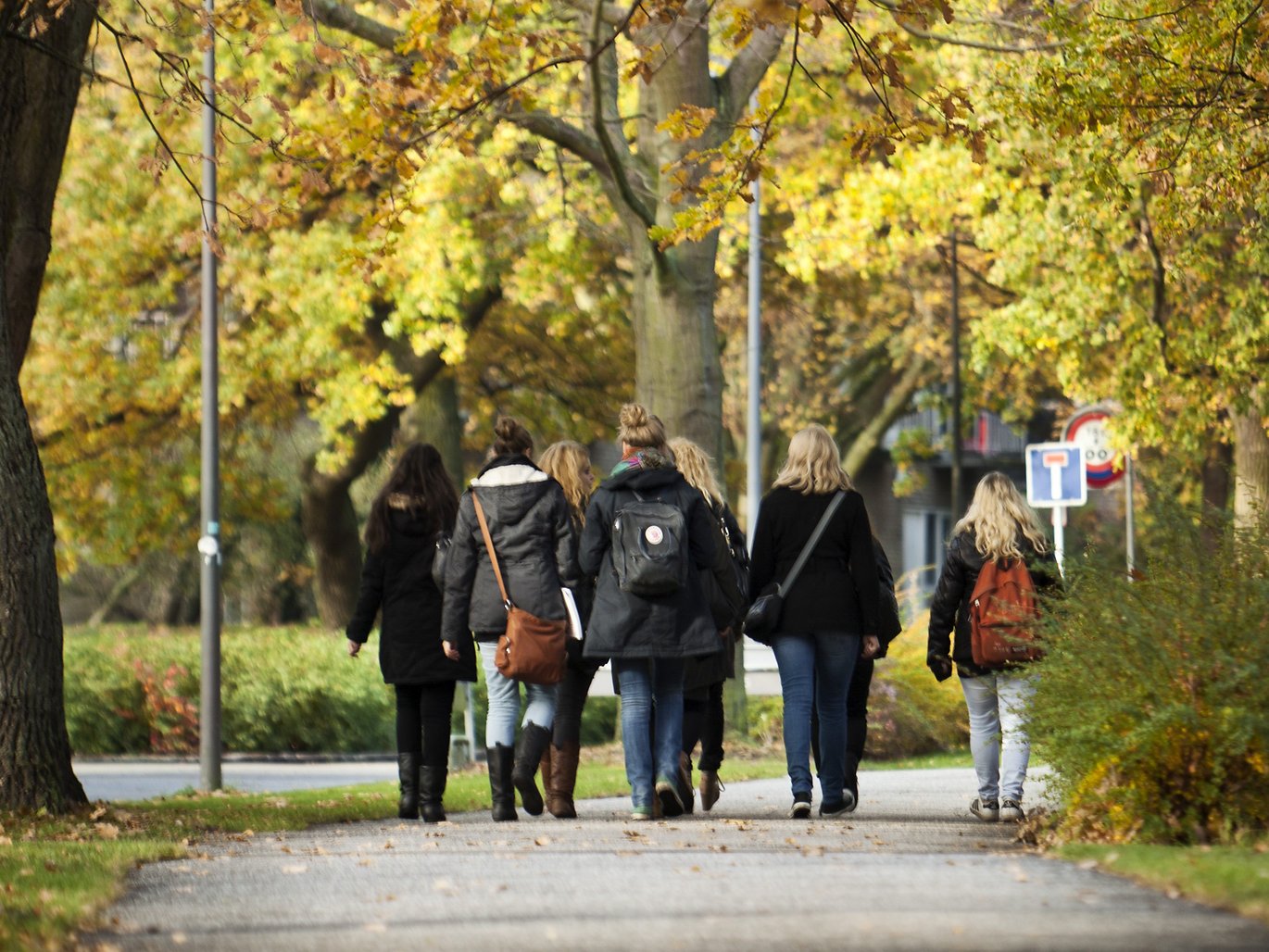 Studerende går gennem Universitetsparken om efteråret