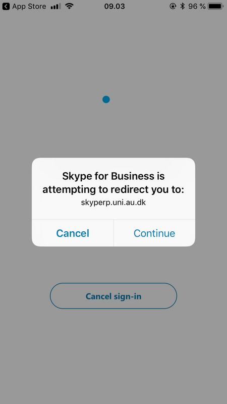 Skype vejledning