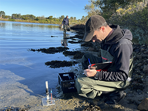 Collecting samples