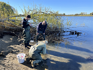Collecting samples